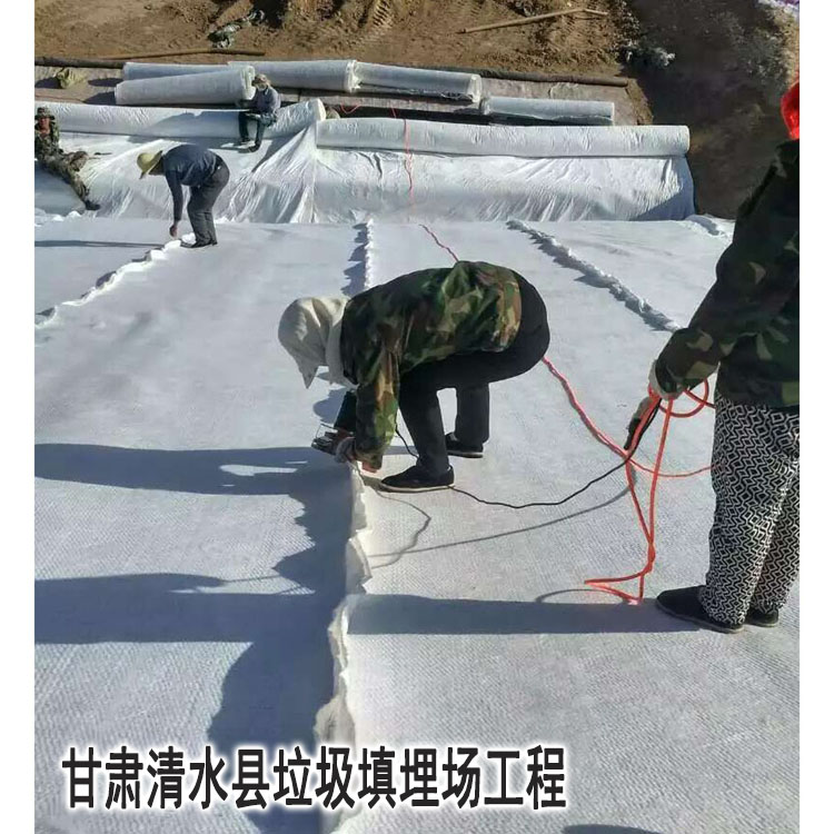 甘肅清(qīng)水垃圾(ji)填埋場(chǎng)